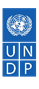 UNDP Logo